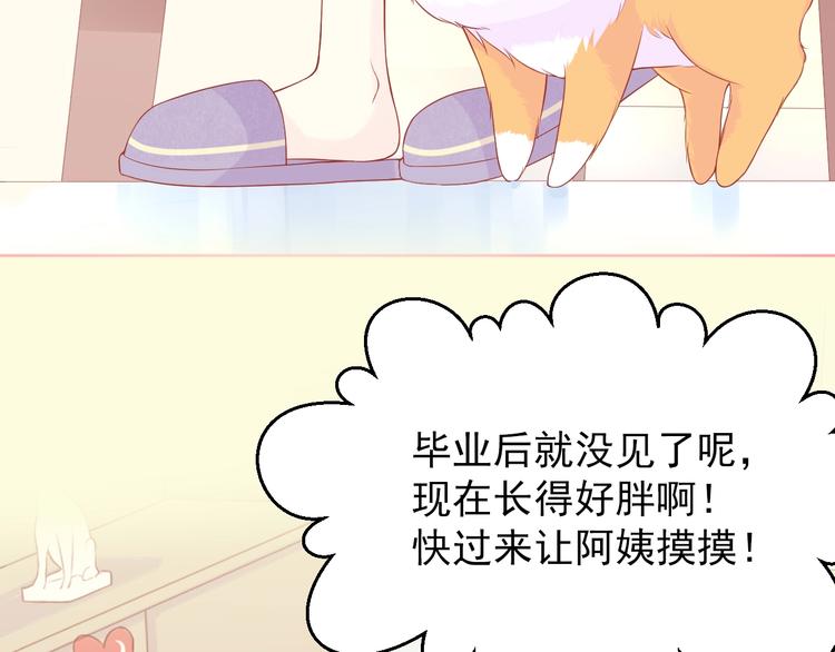 第3话 修爱情学分17