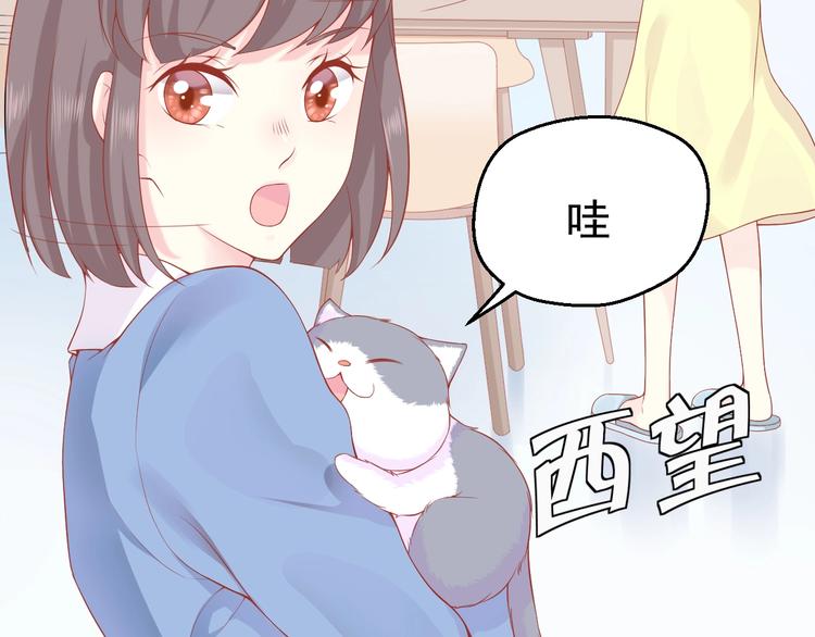 第3话 修爱情学分11