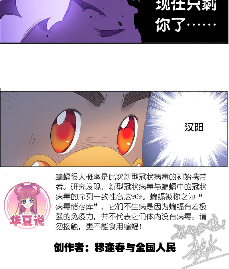 荆楚传奇27