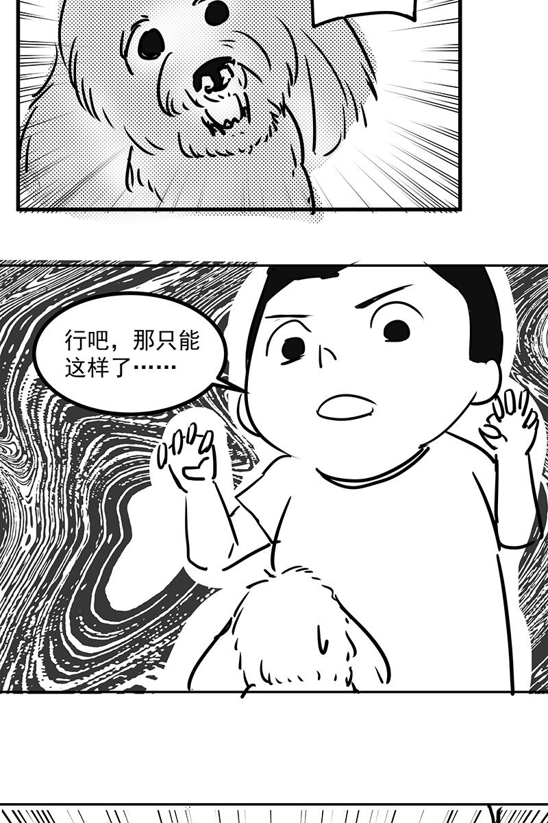 特别的春节25