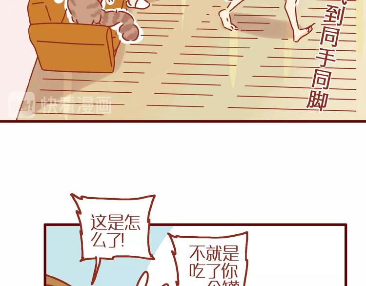 第8话 新猫旧猫42