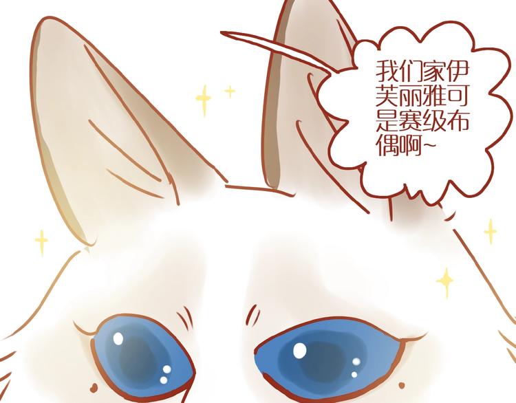 第17话 这猫不得了53