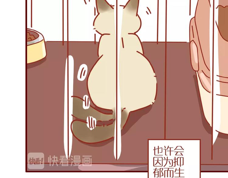 第14话  又有新猫啦！54