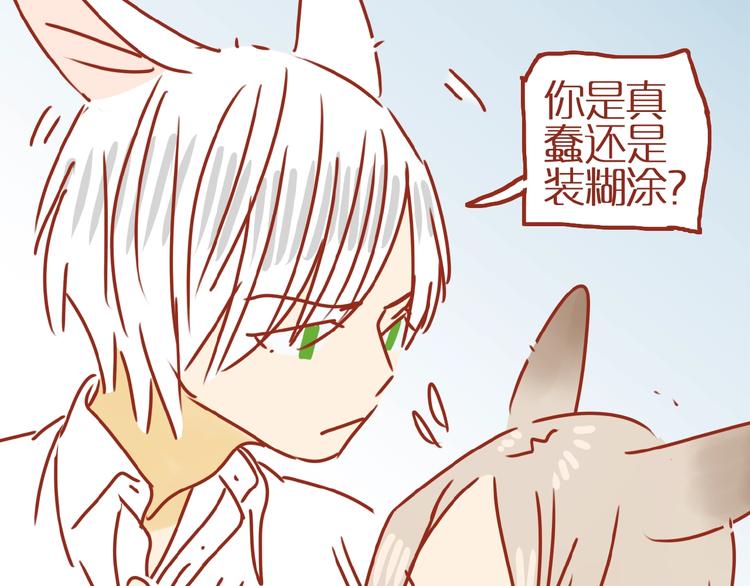 第17话 这猫不得了144