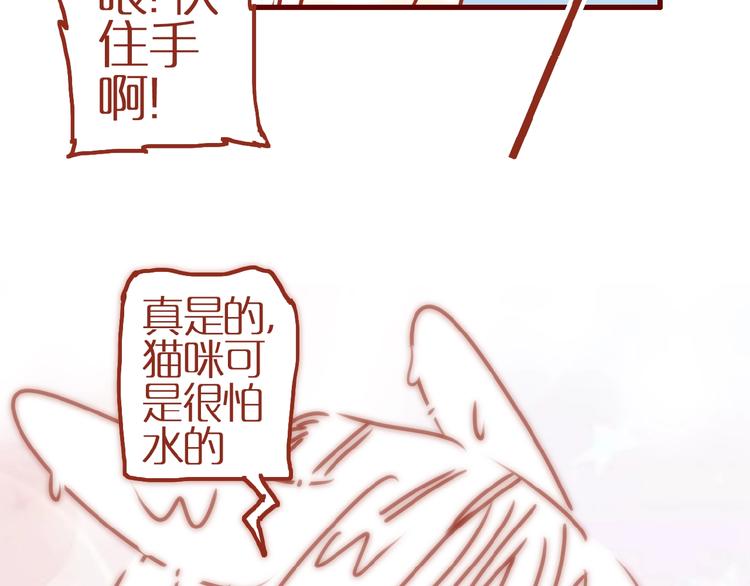 番外  怕水的猫咪25