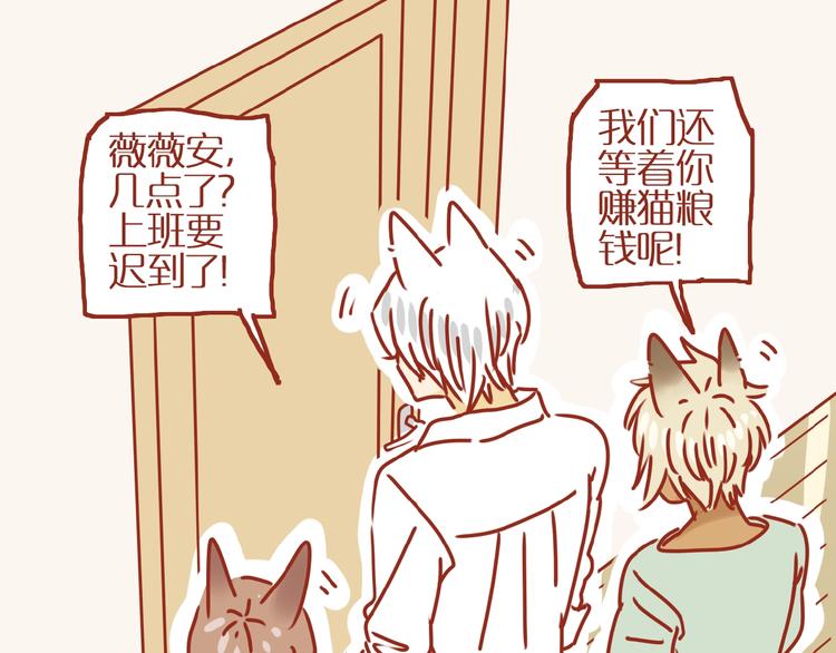 第17话 这猫不得了23