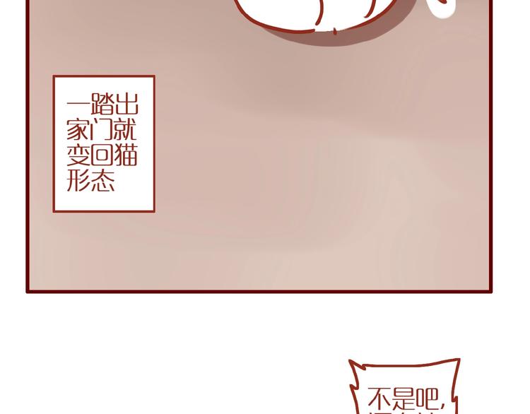 第6话 猫咪帮忙买买买47