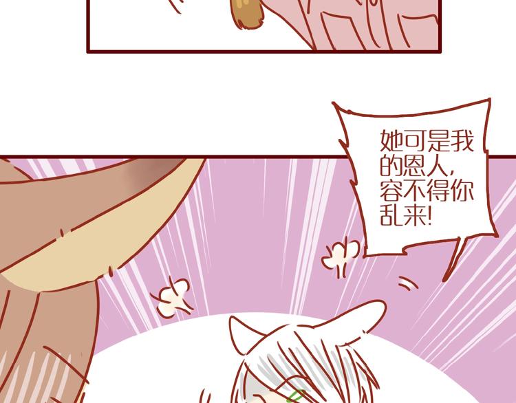 第8话 新猫旧猫69
