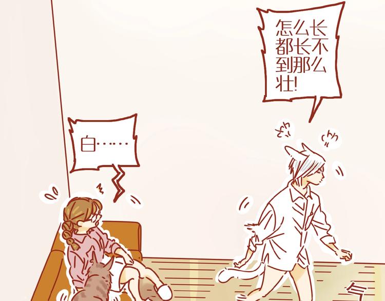 第8话 新猫旧猫41