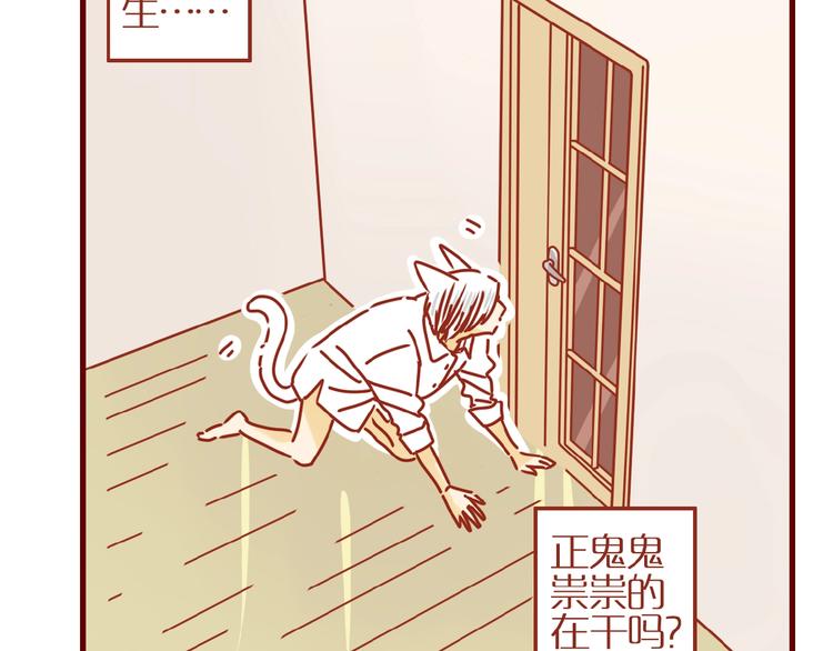 番外  怕水的猫咪5