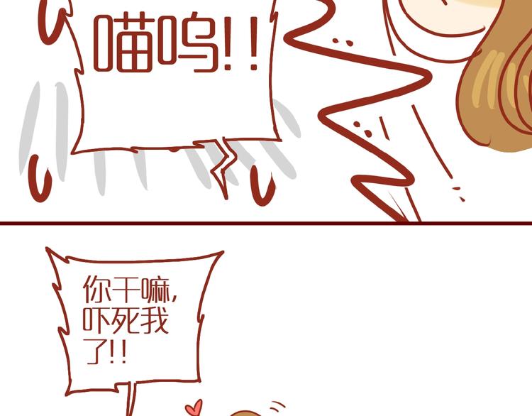 第6话 猫咪帮忙买买买24