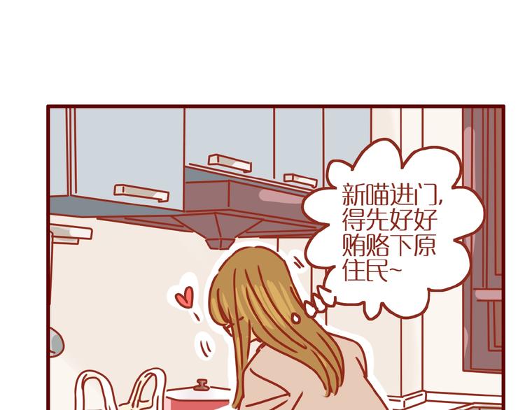 第14话  又有新猫啦！78