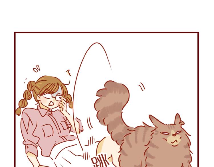 第8话 新猫旧猫11
