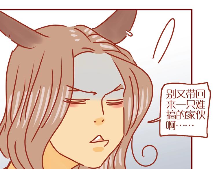 第17话 这猫不得了75