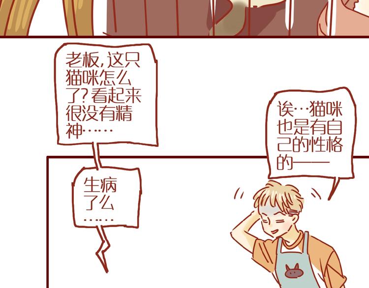 第14话  又有新猫啦！42