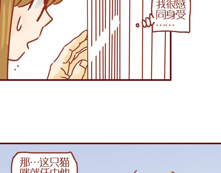 第14话  又有新猫啦！51