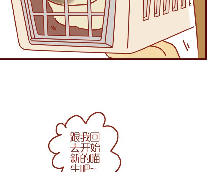 第14话  又有新猫啦！64