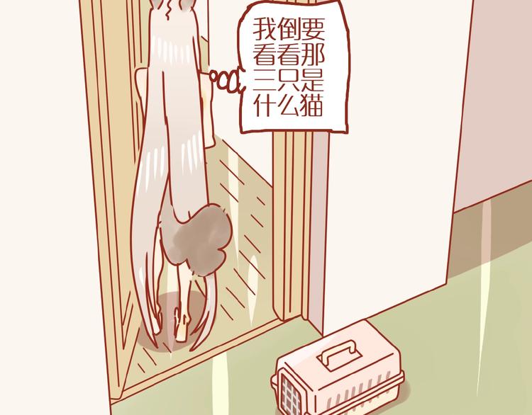 第18话 完结篇变成更好的自己58