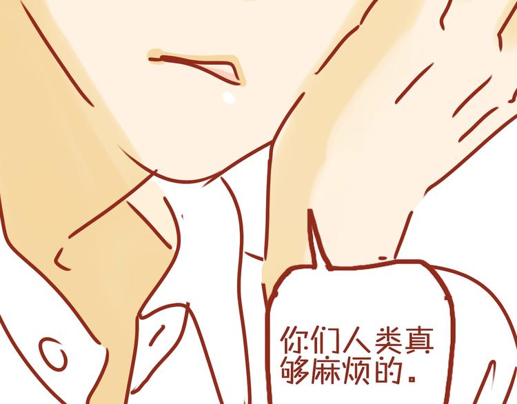 序章  猫咪美妆天团，驾到！40