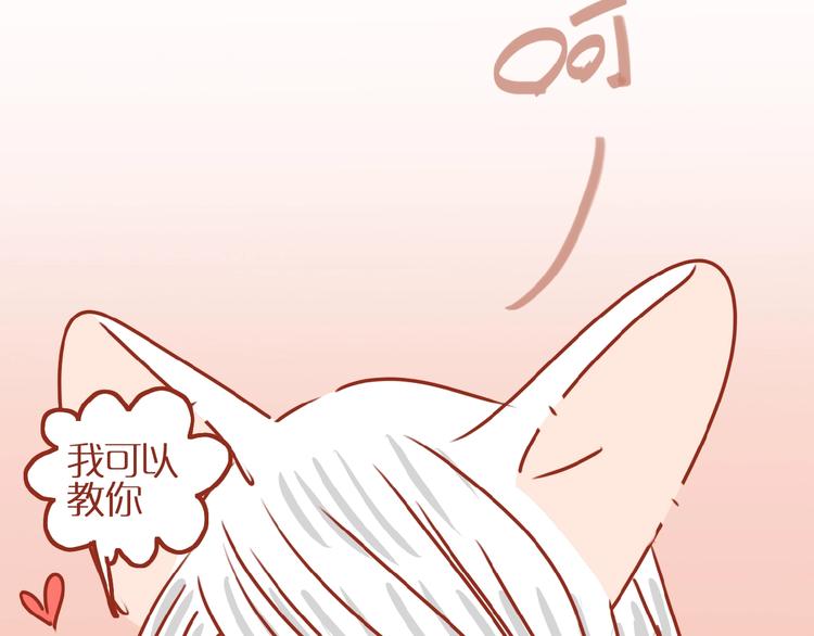 第4话 猫男教你洗脸啦！4