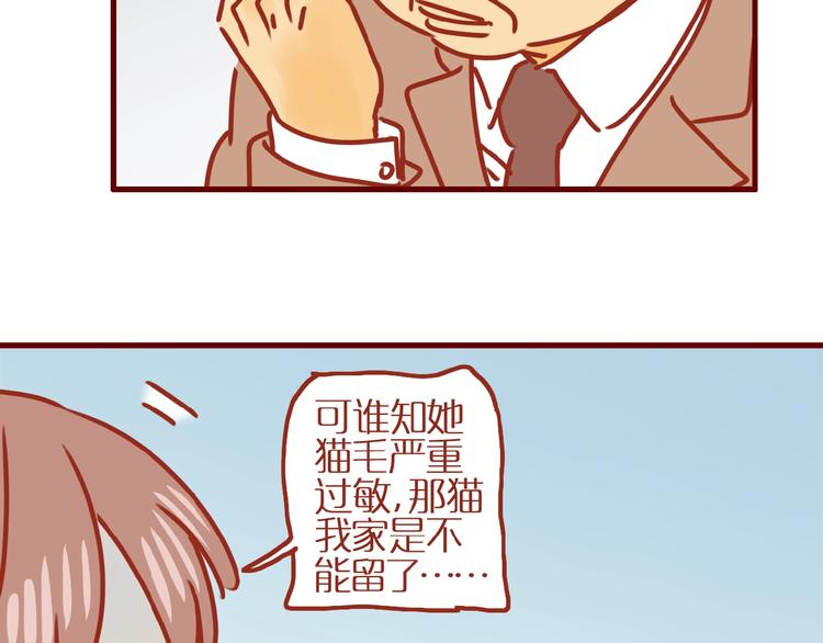第17话 这猫不得了44