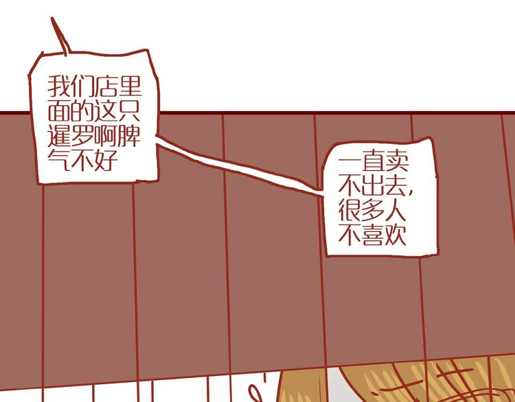 第14话  又有新猫啦！44