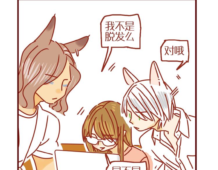 第13话 猫咪争宠36