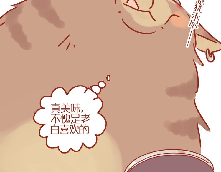 第8话 新猫旧猫28