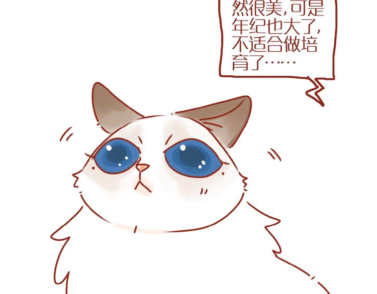 第18话 完结篇变成更好的自己28