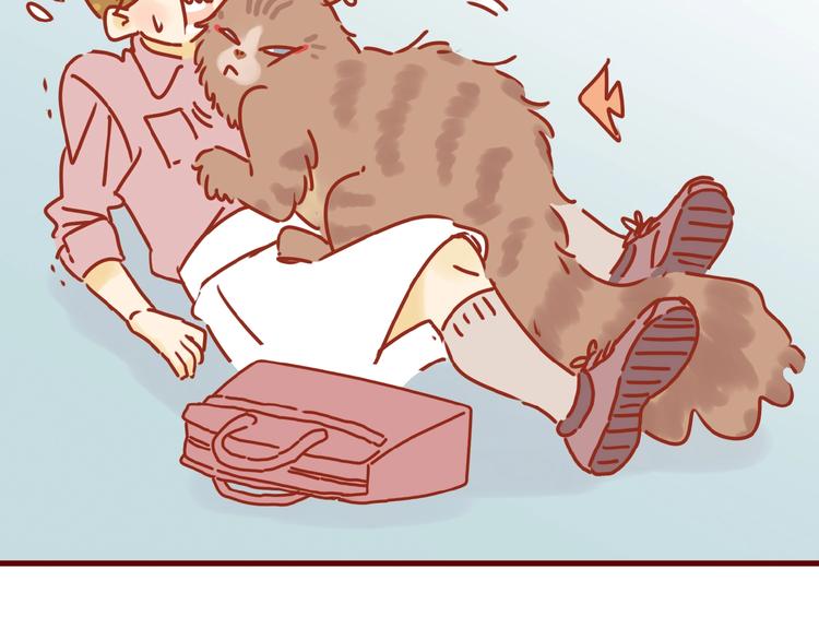 第8话 新猫旧猫9