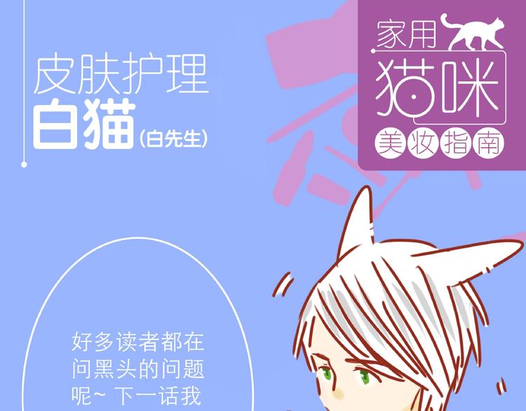第13话 猫咪争宠60