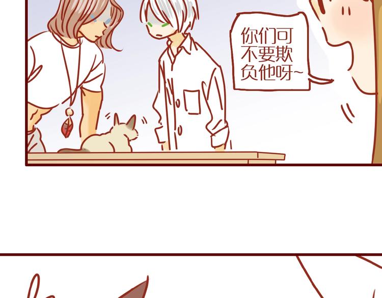 第14话  又有新猫啦！70