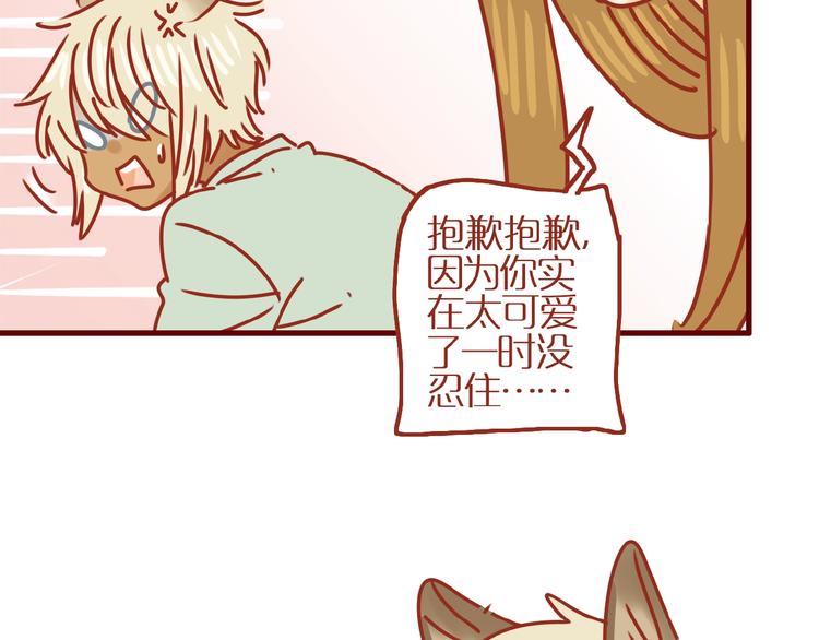 第16话 变身！8