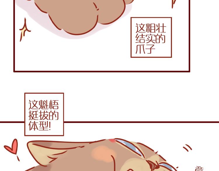 第8话 新猫旧猫27