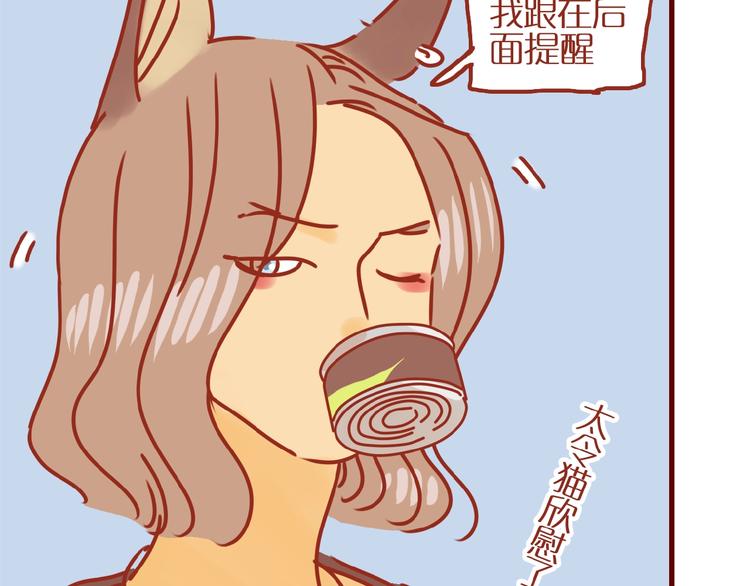 第17话 这猫不得了16