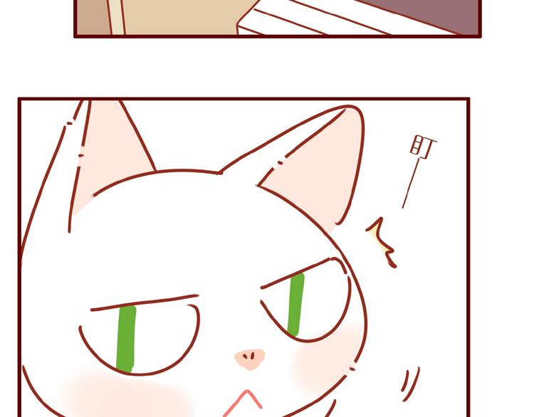 第6话 猫咪帮忙买买买64