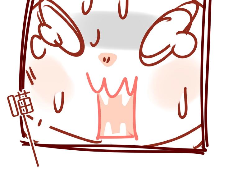 第6话 猫咪帮忙买买买75