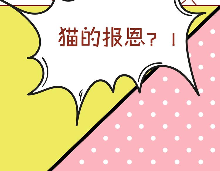 序章  猫咪美妆天团，驾到！25