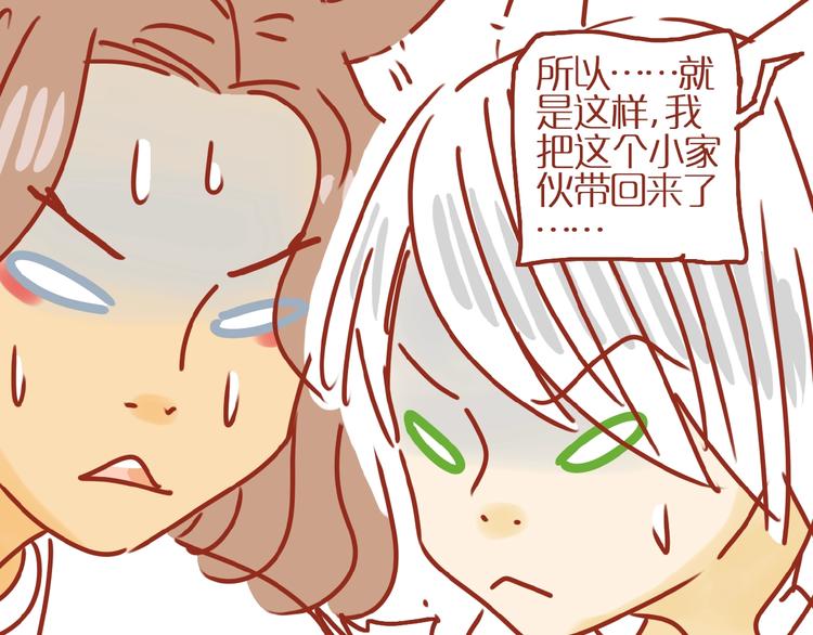 第14话  又有新猫啦！68