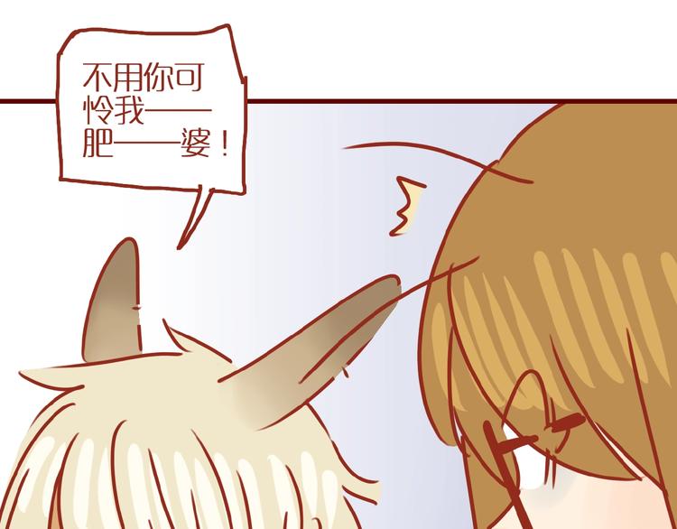 第14话  又有新猫啦！91