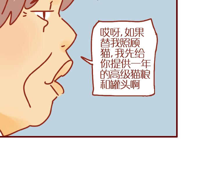 第17话 这猫不得了48