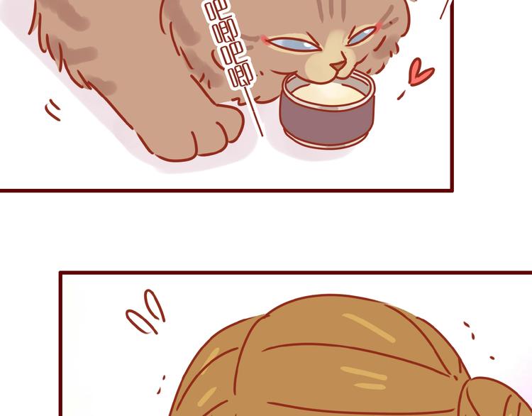 第8话 新猫旧猫23