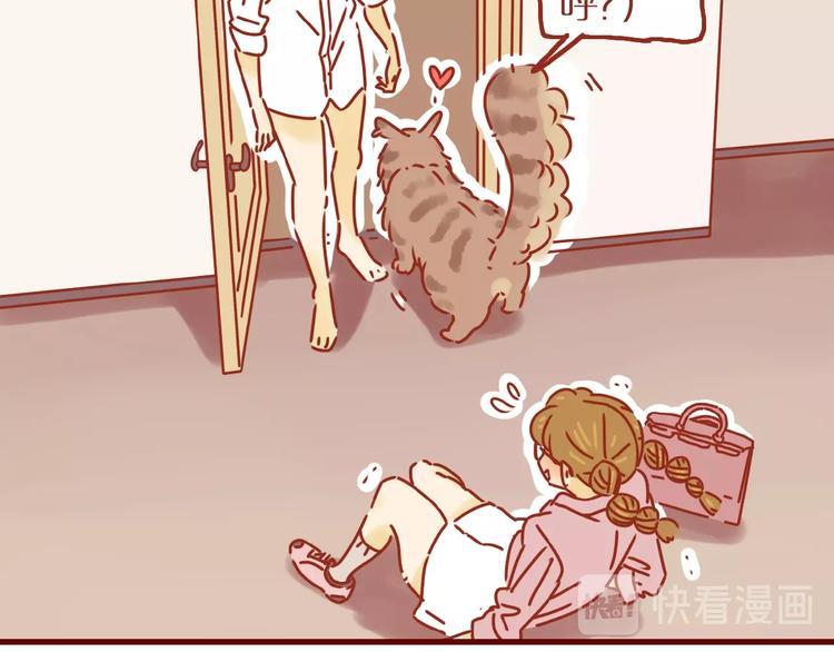 第8话 新猫旧猫13