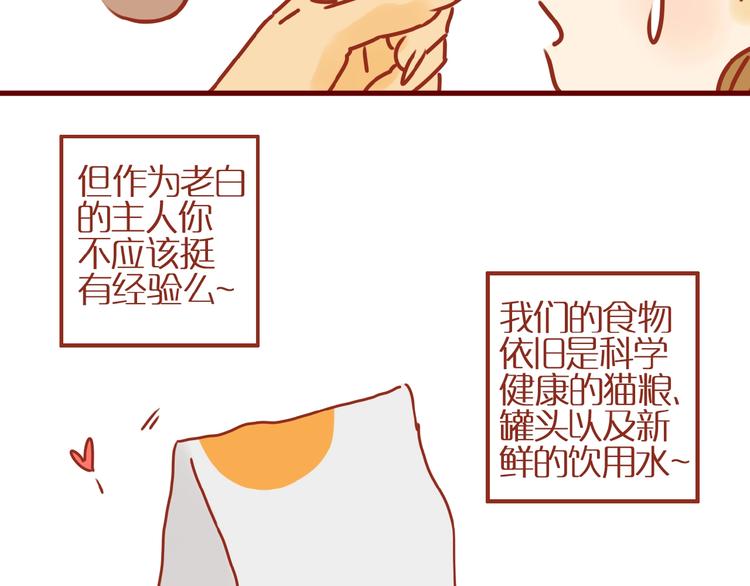第9话 拒绝过度吸猫58