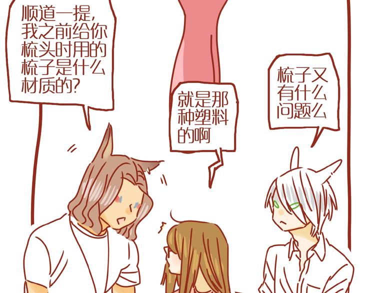 第13话 猫咪争宠24