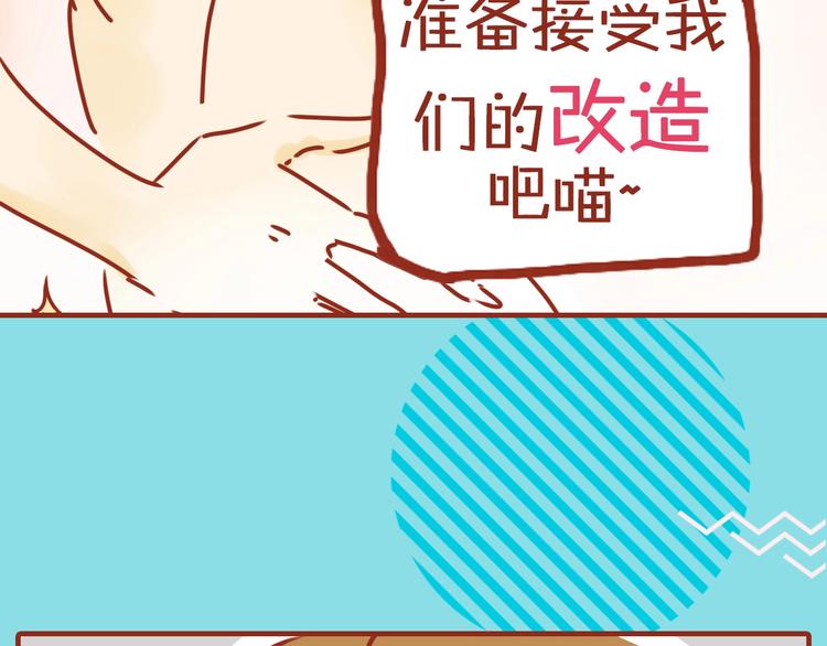 序章  猫咪美妆天团，驾到！55