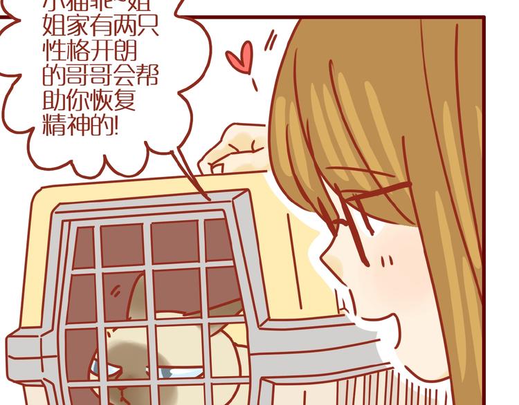 第14话  又有新猫啦！63