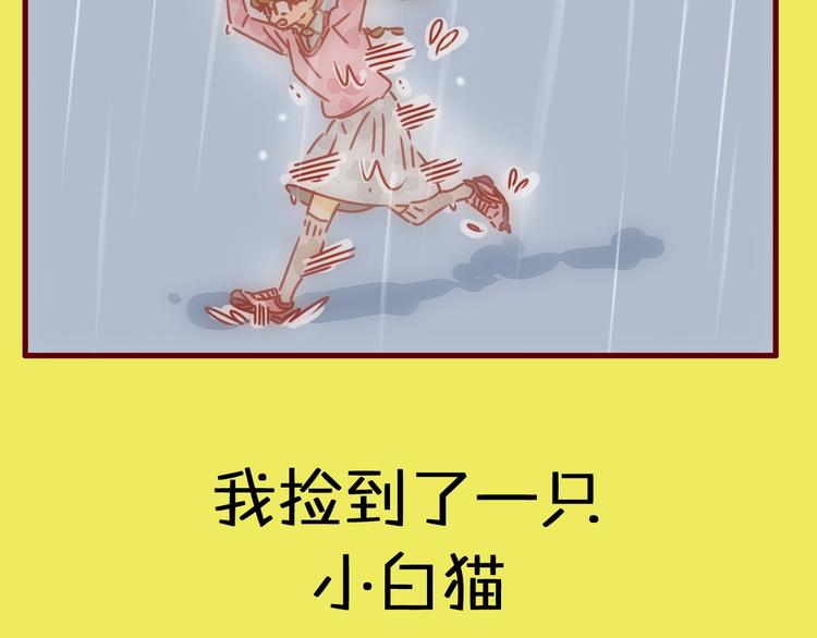序章  猫咪美妆天团，驾到！14