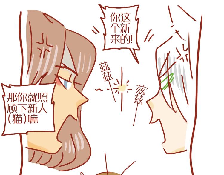 第14话  又有新猫啦！39