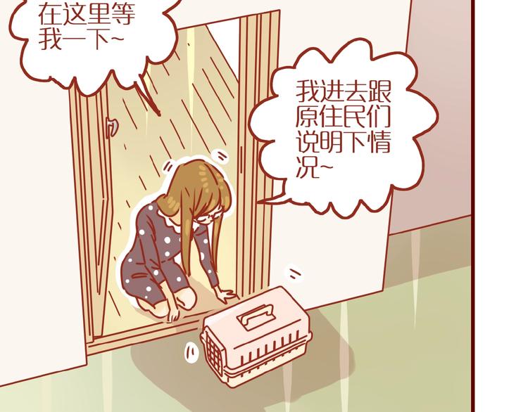 第17话 这猫不得了69